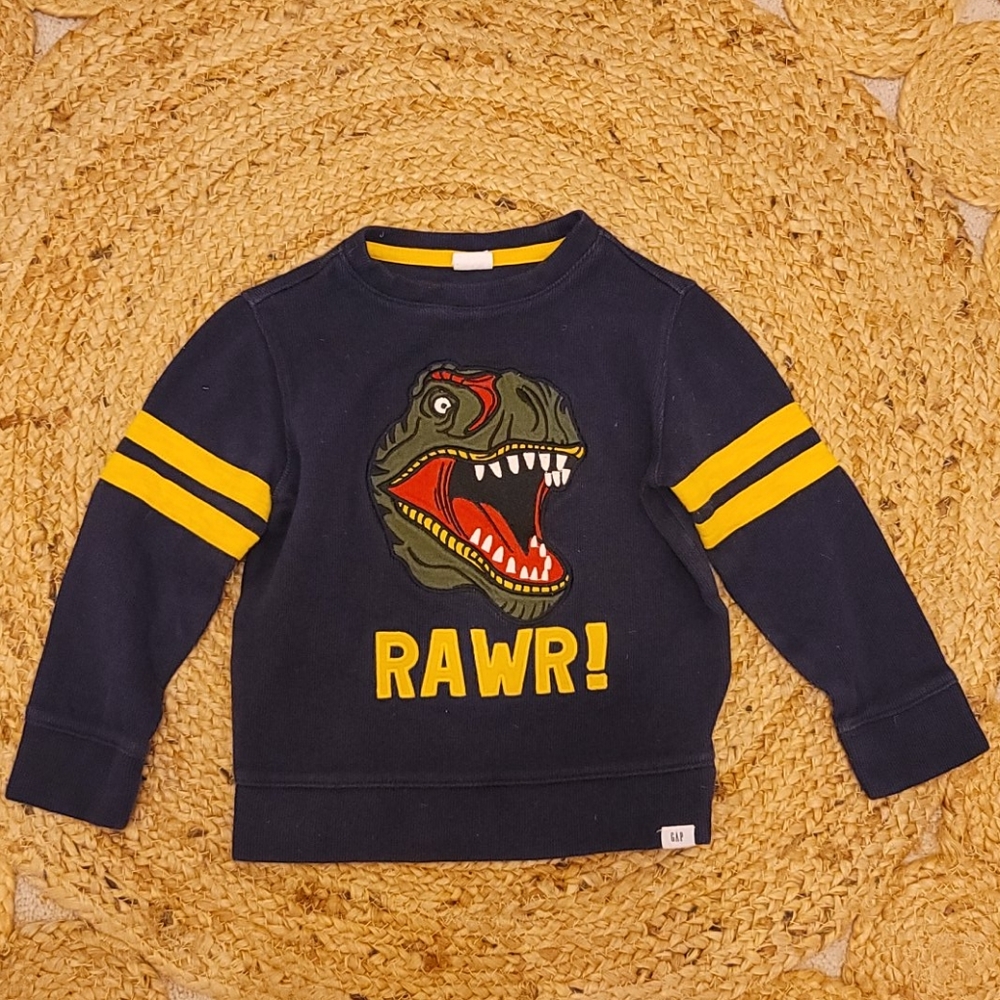 Dinosaur Sweater by Gap